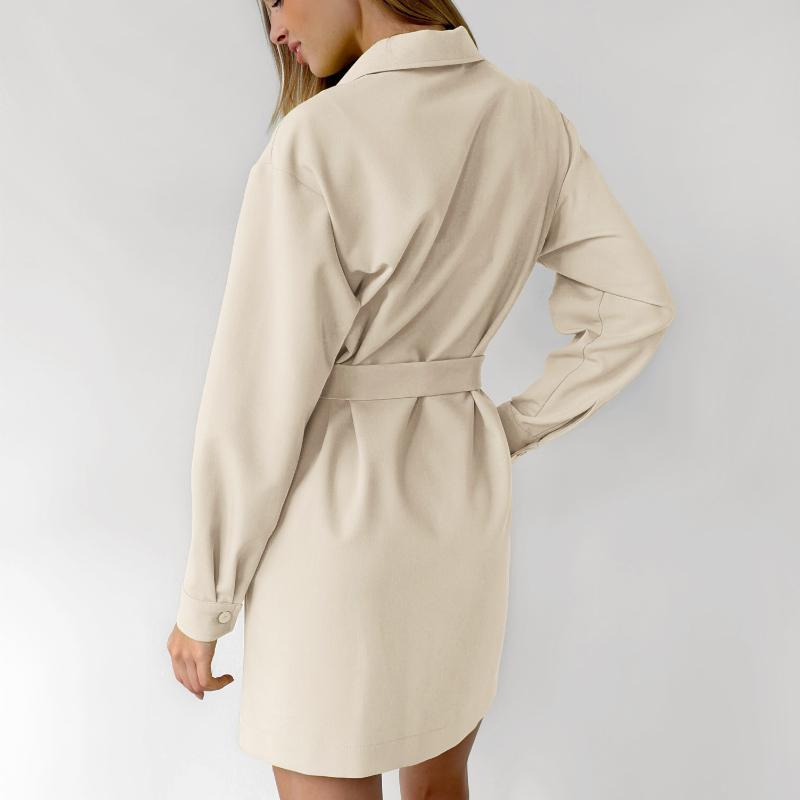 Frühling Herbst Damen Hemden Kleid Elegant Büro Damen Langarm Oberteile Vintage Koreanisch A-Linie Midi Kleider für Damen Bekleidung