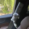 Adorable Personalized Cartoon Animal Car Seatbelt Cover Prevent Strangulation Automotive Interior Auto Shoulder Strap Protector Pad