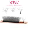 Goddess 3D 4D 5D 6D Premade Fans Eyelash Extension W Style Faux Mink Natural Soft Bloom Lash Automatic Flowering Volume Eyelash