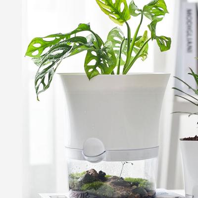 Mini hydroponický květináč Domácí váza Dekorace Průhledný Imitace Plastové Bezpůdní květináče Zelené rostliny Květináč pro domov