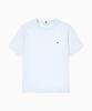 TOMMY HILFIGER Classic Flag Short Sleeve T-Shirt (T22G0Tto010Wt2C7O)