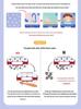 Tooth Brushing Habit Educational Board Game for Kids 3+ | Early Learning and Hand-Eye Coordination Toy