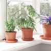 Flower Pots 6 pcs Terracotta Red Ø 15 x 12 cm Plastic