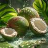 Super Substitute 100% Natural Juices & Coconut Water