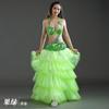 Belly Dance Set Belly Dance Performance Costume Belly Dance Performance Set Long Skirt Swing Dance Skirt Set Oriental Dance