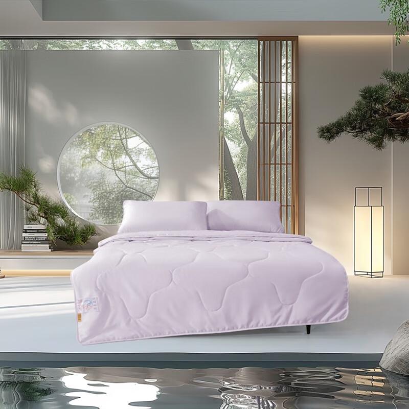 Mercury Theanin Antibakteriell Waschbare Sommerdecke