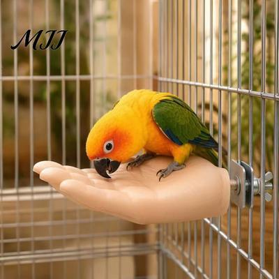 Estación de Alimentación para Pájaros Periquito Entrenamiento Mano Falsa Percha, Juguete de Domesticación Humana Simulada Herramienta de Desensibilización con Superficie de Molienda, Seguro Anti?Morder