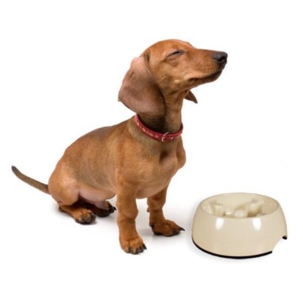 

Посуда Dog It Dog Anti Schling белая 600 мл