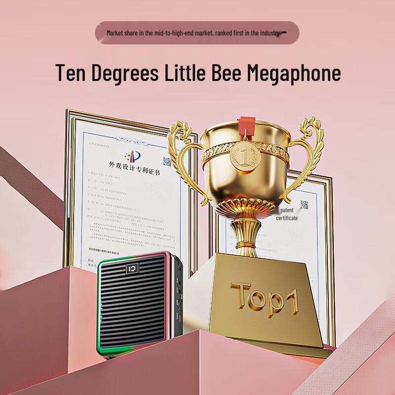 SHIDU M2 Wireless Portable Voice Amplifier CN plug (adapter included)