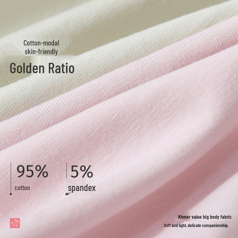 Regina Women's Pure Cotton Mid-Waist Briefs 4-Pack