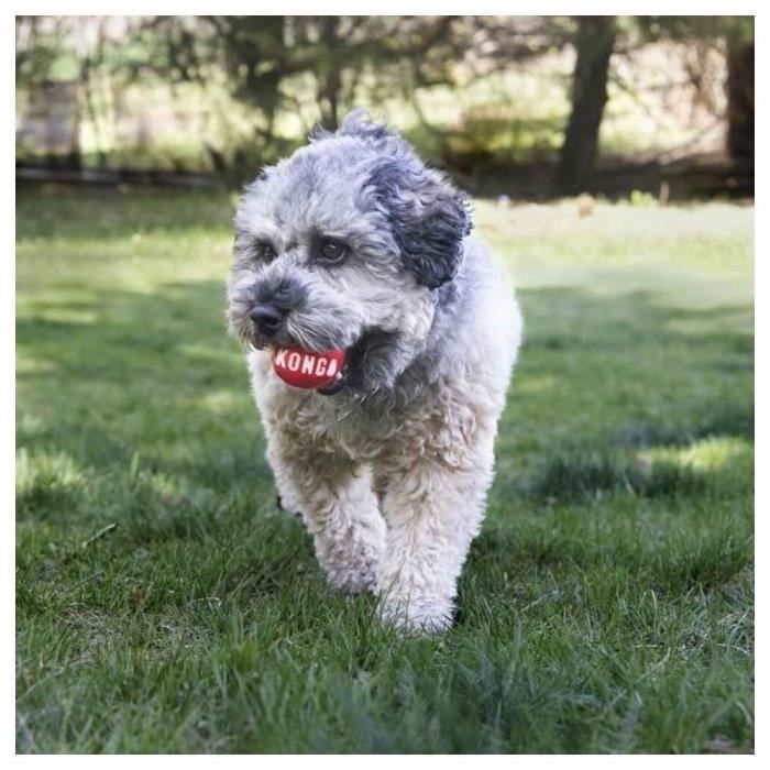 Jouet Pour Chien - Kong - 2 Balles Signature - Rouge - Caoutchouc - Moyen