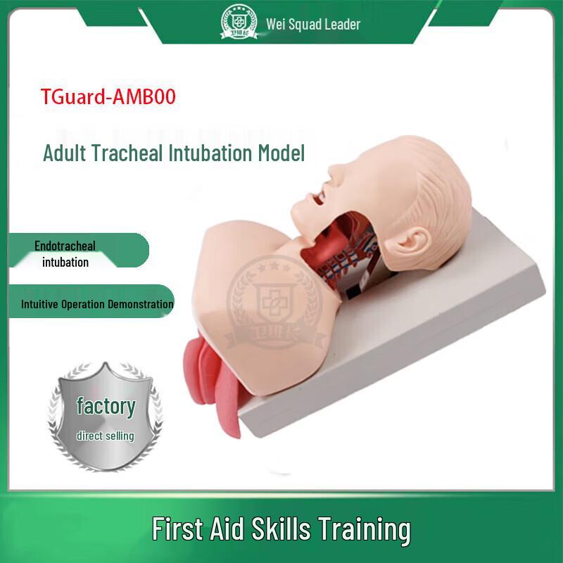 TGuard Adult Tracheal Intubation Model