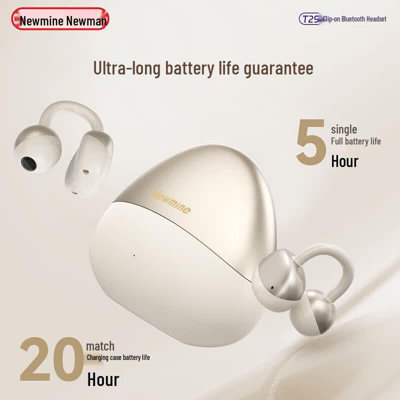 

Newman T29 Bluetooth Earbuds
