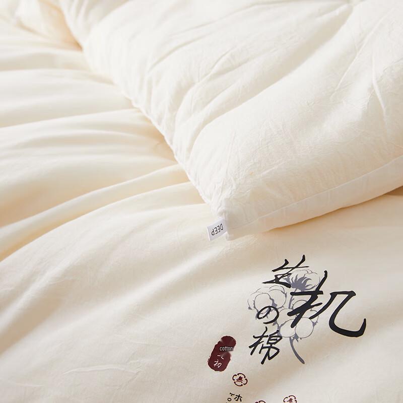 Chans Organic Cotton Soy Fiber Quilt