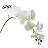 Simulation Artificial Flower No Fade Not Wither Vivid Realistic Exquisite Decorate Fabric 9-Heads Butterfly Orchid for Gift Fake