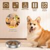 Stainless Steel Pet Bowl Anti Choke Dog Slow Food Bowl with Non Slip Base Double-sided Usable Cat Feeding Bowl Home Pet Supplies