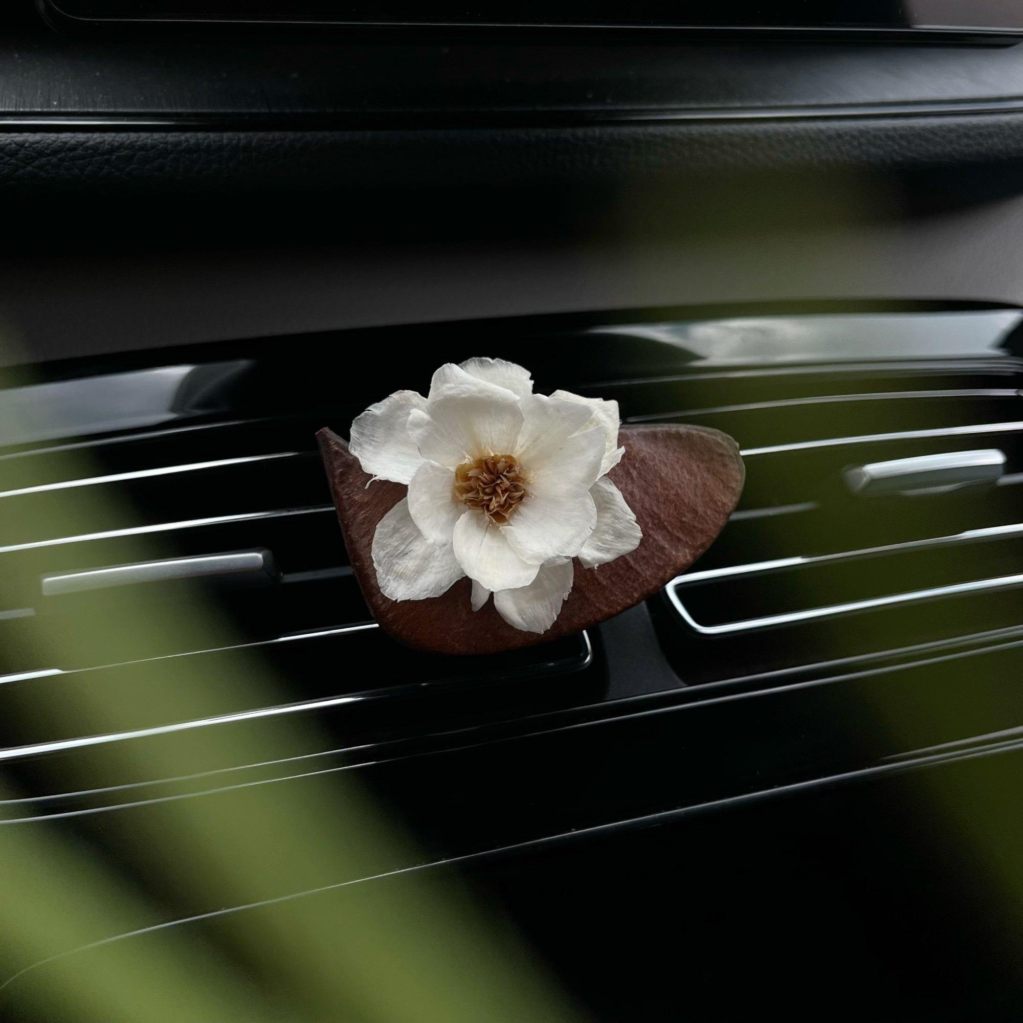 Растение фрукт ручной работы DIY креативный автомобильный ароматизатор