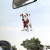 2D Acrylic Dog Hanging Decoration Car Rearview Mirror Puppy Hanging Ornament Bag Purse Charm Pendant Car Interior Accessory
