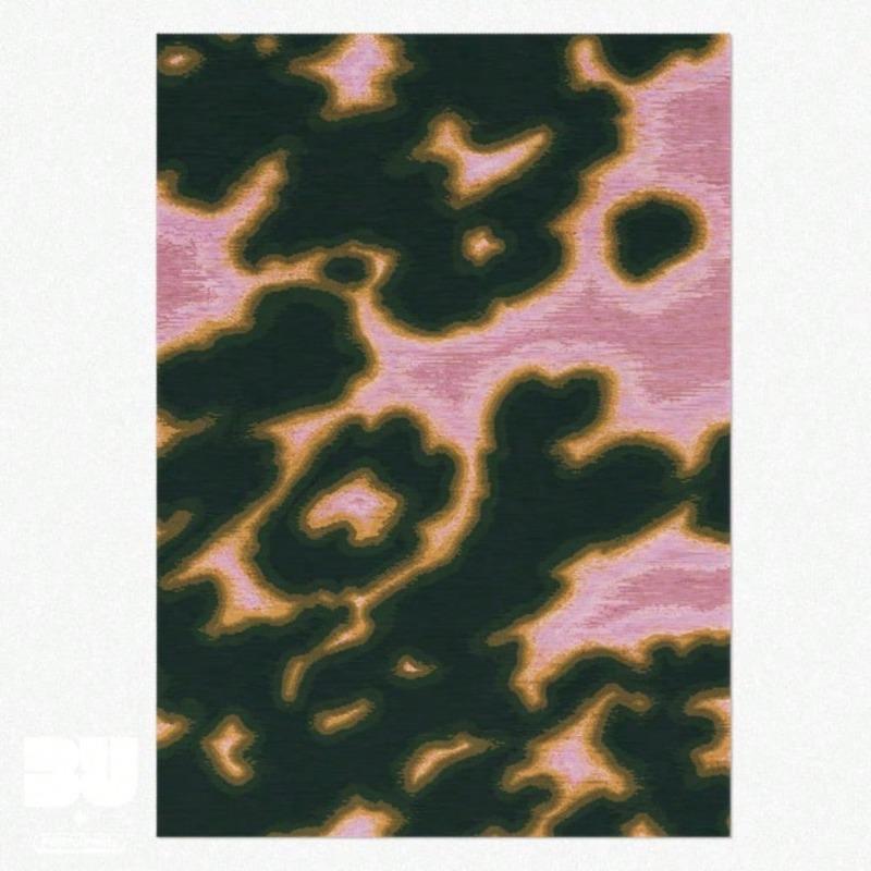 

Анималистичный принт Розовый Зеленый Ковер Градиент Дофаминовые Предметы для Дома Эстетика Гостиная Эклектичная Спальня Большой Ковер Украшение 50X80CM