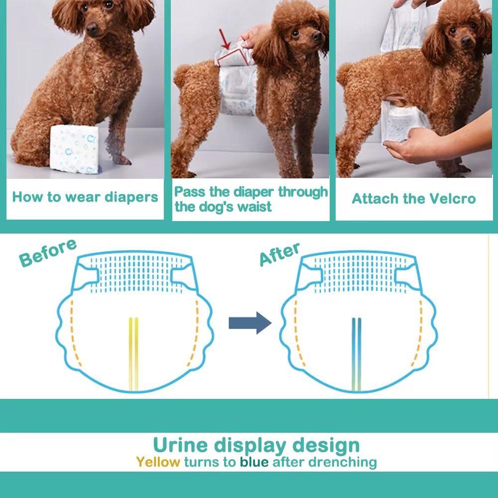 40Pcs/Set Male Disposable Disposable Dog Diaper Hygienic Design Training Diaper  for Pet Training