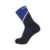 Salomon PULSE CREW Surf The Medium Men's Socks, LC2255500, Web/Carbon/White,