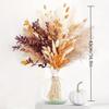 80Pieces Natural Dried Flowers Bouquet Home Decoration  Pampas Reeds Grass Rabbit Tails Bouquet Boho Home Arrangements