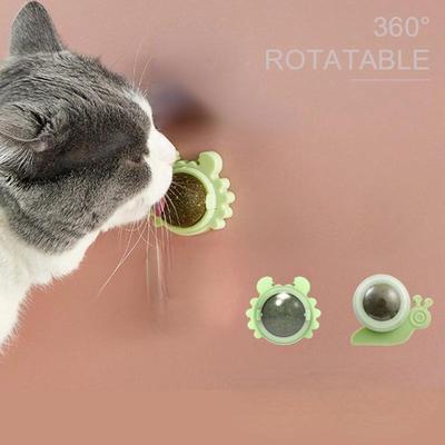Gatti – Giocattoli per gatti