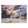 TAMASHII NATIONS S.H.Figuarts Street Fighter Ryu -Outfit 2- Approx. 150mm PVC & ABS Painted Action F
