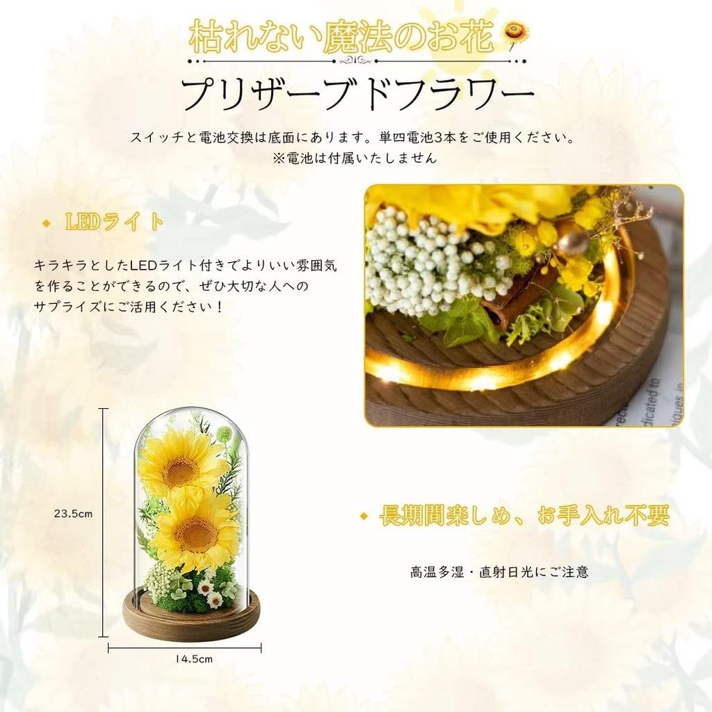 Preserved Sunflower Gift in a Glass Cute Sunflower Preserved Box with LED Carry and Message Perfect for Respect for the Aged Thank You Day and Gifts