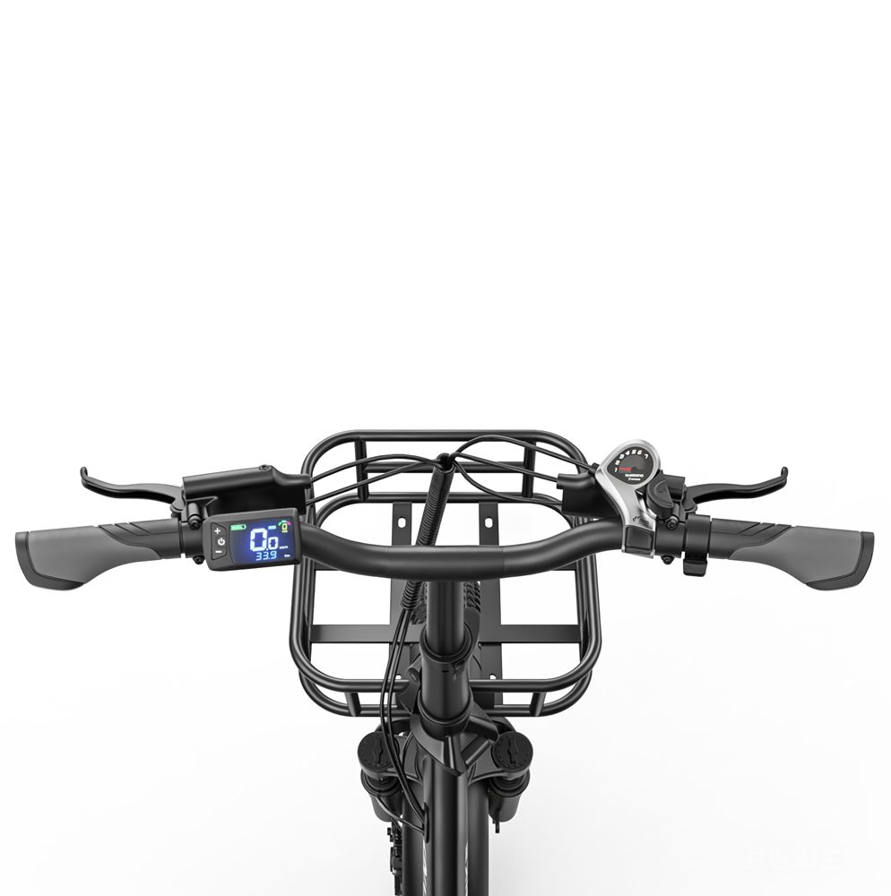 Allgobike AC20 Elektrische Fiets 250W Motor 20" Band Stadsverkeer Elektrische Fiets 48V 20Ah LED Display Maximaal Bereik 60Km 7 Versnellingen Maximaal Laadvermogen 120Kg
