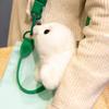 Internet Celebrity Seal Plush Keychain: Cute Aquarium Seal Doll, Sleeping Hug Pillow, Ornament, Birthday Gift