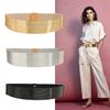 Gold Women Waist Belt Silver Elastic Cummerbunds Unique Waist Corset Belts  Dress Accessories