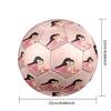 Ariana Grande Size 5 Soccer Ball, Durable Standard Football For Training Match Outdoor Sports