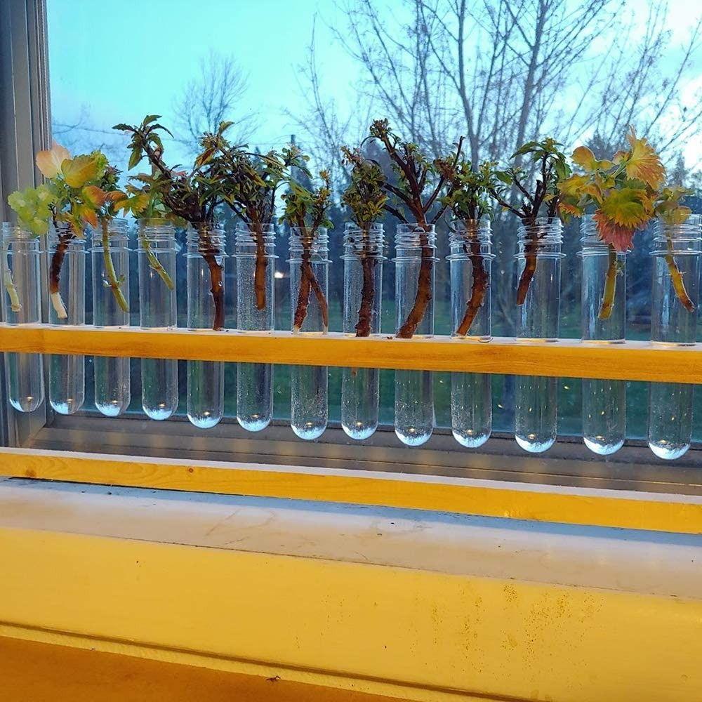 10 uds 25×140 mm Tubos de Ensayo Transparentes Bureta Material Escolar Tubo de Ensayo Decoración para Fiestas