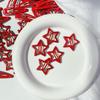 Y2g Sexy Five-Pointed Star Hairpin Easiest for Match Silver BB Clip Hair Clip Fashion Hair Clips Hair Accessories Side Fringe Clip
