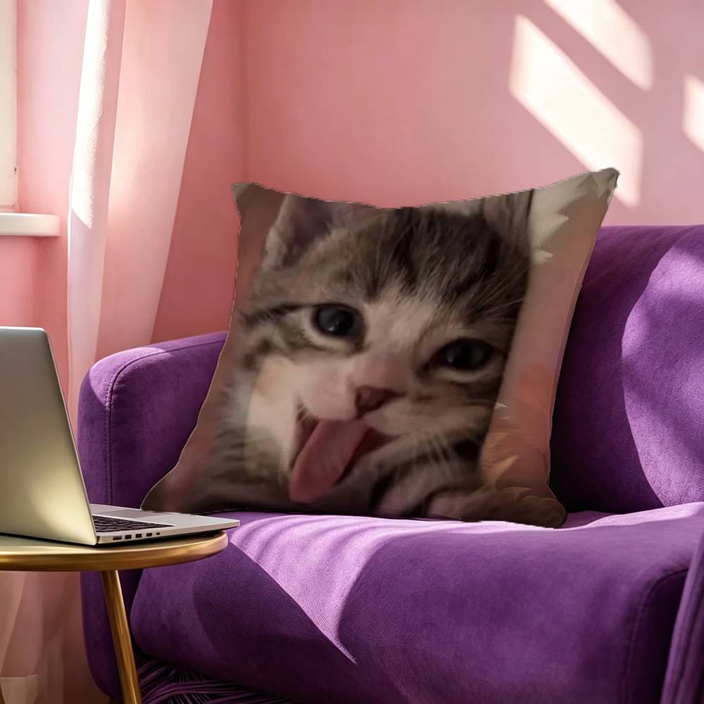 Funny Cute Cat Square DoubleSided printed Pillow Case Bedroom Bedside Pillow Sofa Cushion Cover