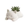 Cute Cat-Shaped Small Plant Pot, Lightweight Plastic Planter for Cacti & Succulents, Home Decor & Lovely Cat-Themed Gift Choice