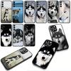 Phone Cover Animal Lovely Husky Dog Casing for Apple iPhone 17 16 11 Pro XS Max XR 6 7 8 Plus + 16E SE 2020 Air 5 8+ Case