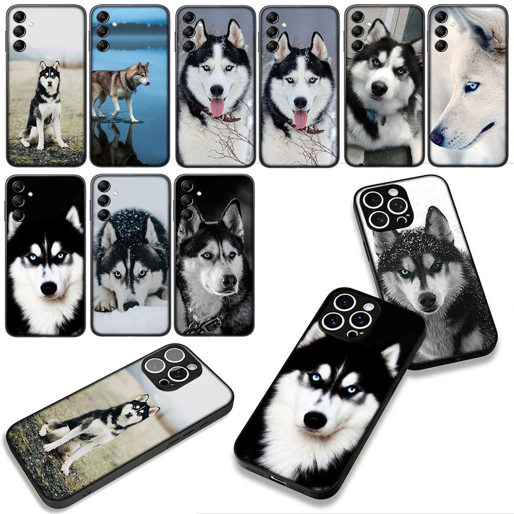 Phone Cover Animal Lovely Husky Dog Casing for Apple iPhone 17 16 11 Pro XS Max XR 6 7 8 Plus + 16E SE 2020 Air 5 8+ Case