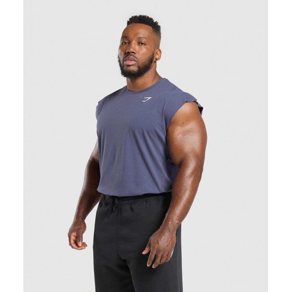 Gymshark Critical Cut Off Tank Weighted Purple A1a2s Pb7p