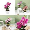 Fivehead Phalaenopsis Artificial Potted Plant For Indoor Decor And Photography Scenes