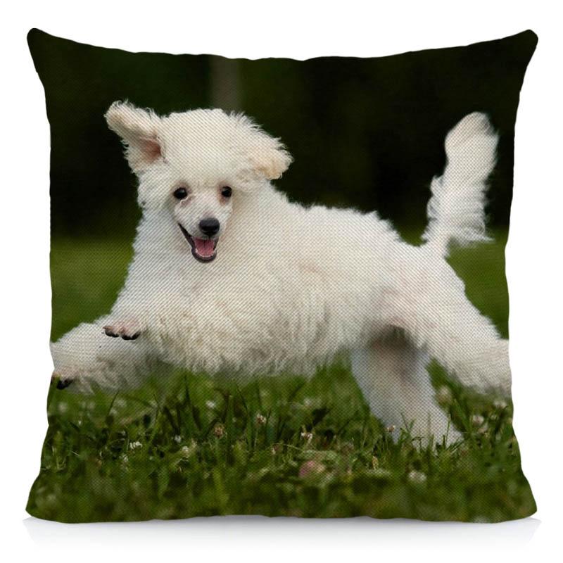 

45x45 см наволочка для собаки-пуделя, чехол для подушки с изображением животного, украшение для гостиной, квадратная наволочка из полиэстера 45X45CM