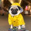 Fashion French Bulldog Pet Rain Coat for Medium Large Dogs Waterproof Puppy Big Dog Clothes Pug Corgi Pitbull mascotas Raincoat