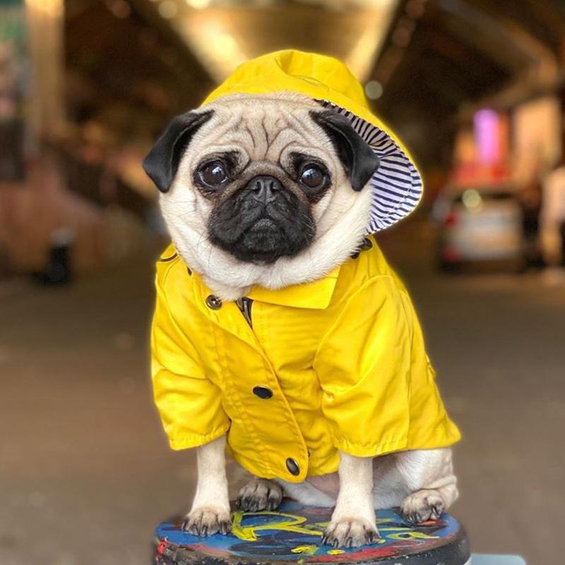 Fashion French Bulldog Pet Rain Coat for Medium Large Dogs Waterproof Puppy Big Dog Clothes Pug Corgi Pitbull mascotas Raincoat