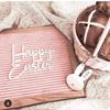 Decorative Wooden Shooting Props Creative Felt Message Board New Years Baby Alphabet Board  Cute