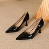 Women's Nude Sexy Stiletto Pumps, Comfortable for Spring and Autumn, Perfect with Skirts, European and American Fashion Style.