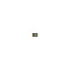 [Japan's First Landing Commemoration] [Official] Squid Toy Ikayurarin Moving Dancing Birthday Present Christmas Electric Toy Dancing Octopus Comes