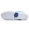 Nike Dunk Low SB Blue Fury Unisex Sneakers Deep-Royal BQ6817-400