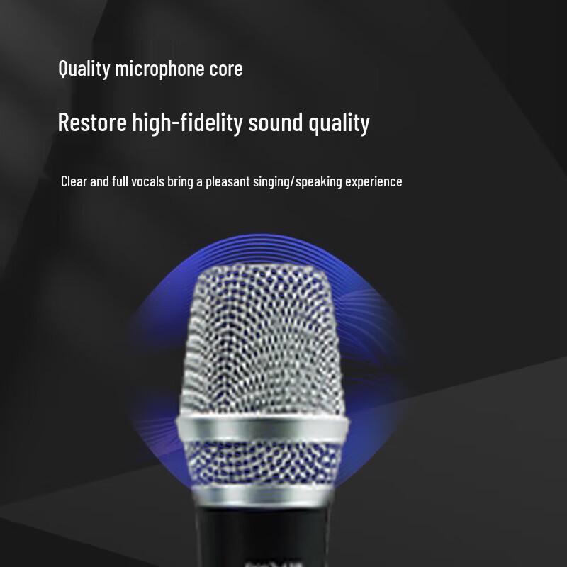 FionTu Professional Wireless Dual Handheld Conference Microphone System (CN Version)