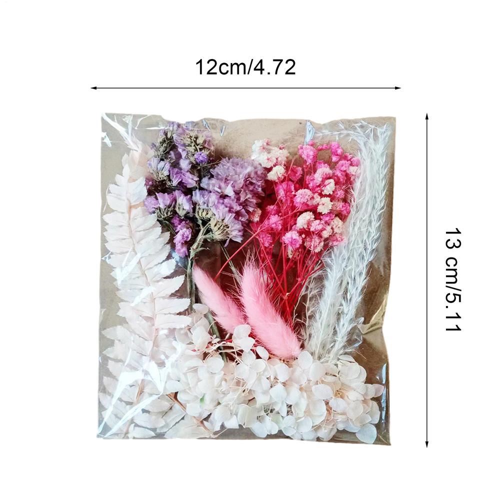 Natural Plants Dried StarrySky Flowers Preserved Materials Kit Epoxy Resin Candles Soap DIY Floral Materials Set Dried Flowers